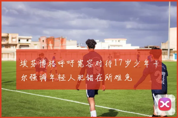 埃芬博格呼吁宽容对待17岁少年卡尔强调年轻人犯错在所难免