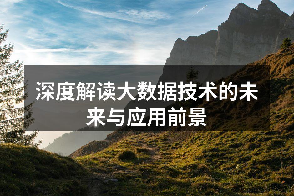 深度解读大数据技术的未来与应用前景
