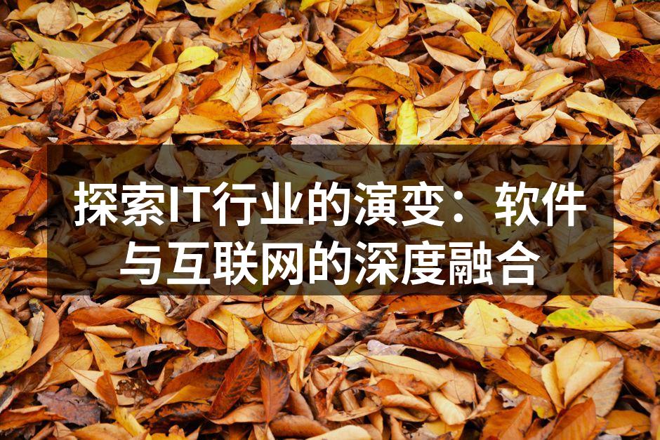探索IT行业的演变:软件与互联网的深度融